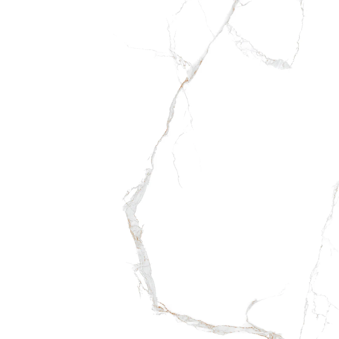 face 19